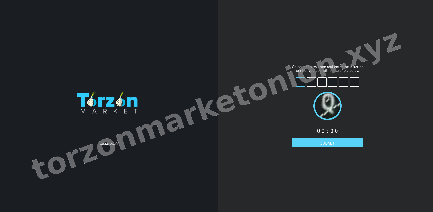 Torzon DDoS Protection Screen