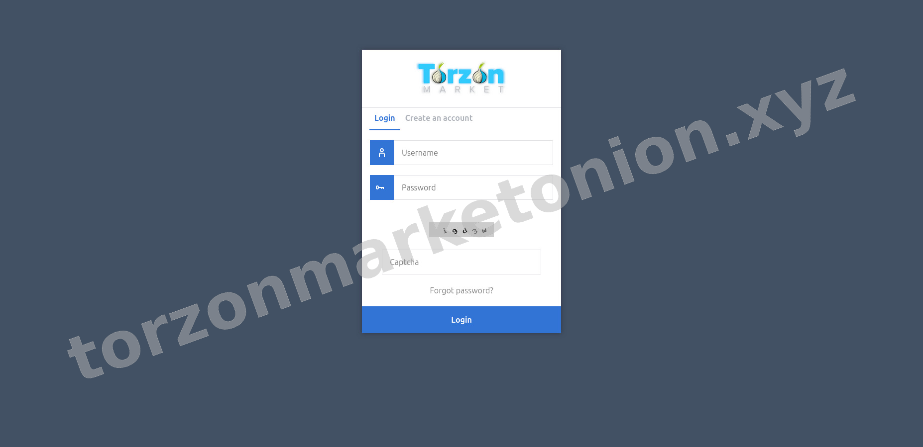 Torzon Login Interface